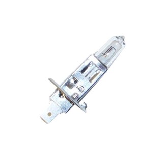 LAMPE RECHANGE POUR 51960, 51962