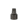 EMBOUT TORX COURT 0,9 CM T55 (RÉF.54546)