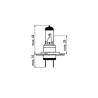 AMPOULE OBN H7 55W