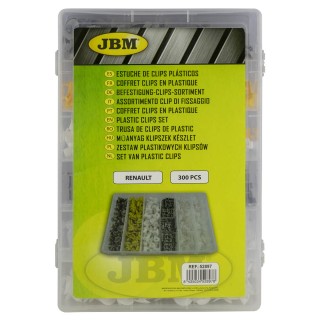 ÉTUI DE CLIPS EN PLASTIQUE POUR RENAULT 300 PCS