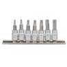 RAIL DE 7 POINTES TORX INVIOLABLE1/4\"